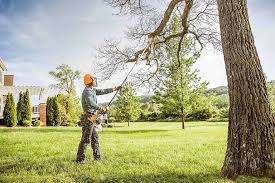 Best Leaf Removal  in Indian Hills, CO